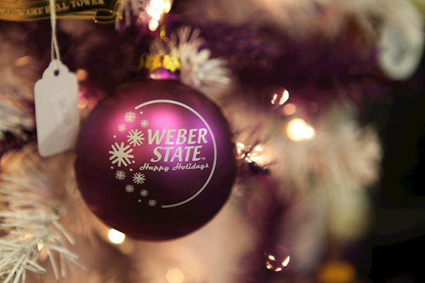 Purple ornament that says Weber State hanging from a branch.